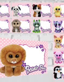 Beanie Boo Food Tent Cards