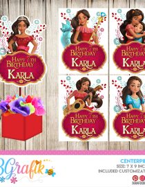 Elena of Avalor Centerpiece