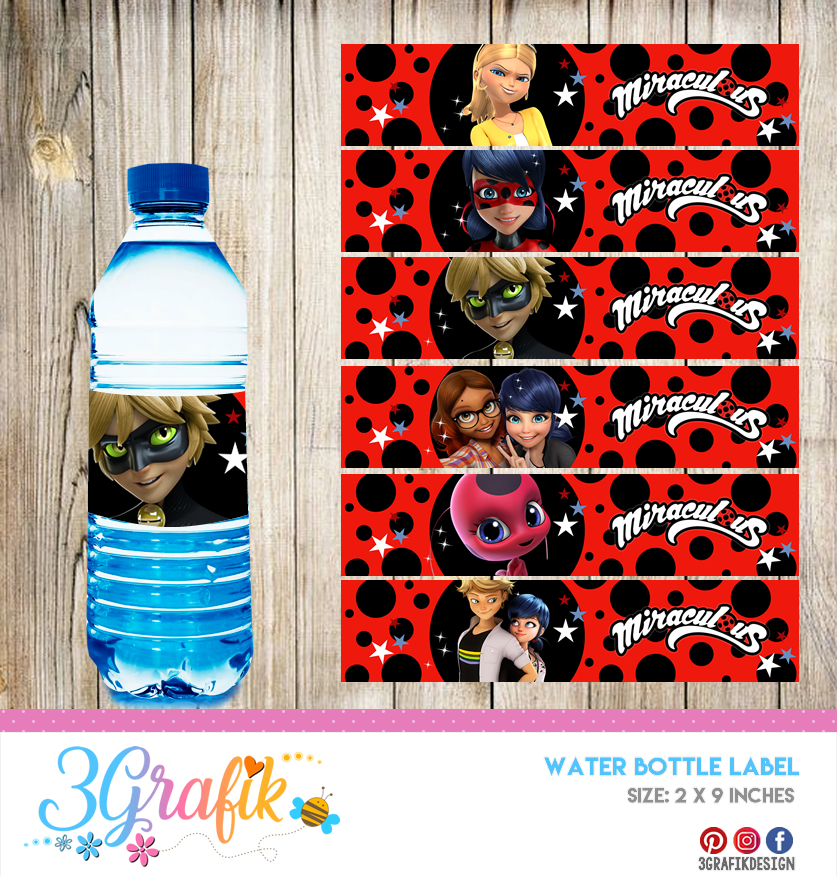 Sticker Waterproof Ladybug 