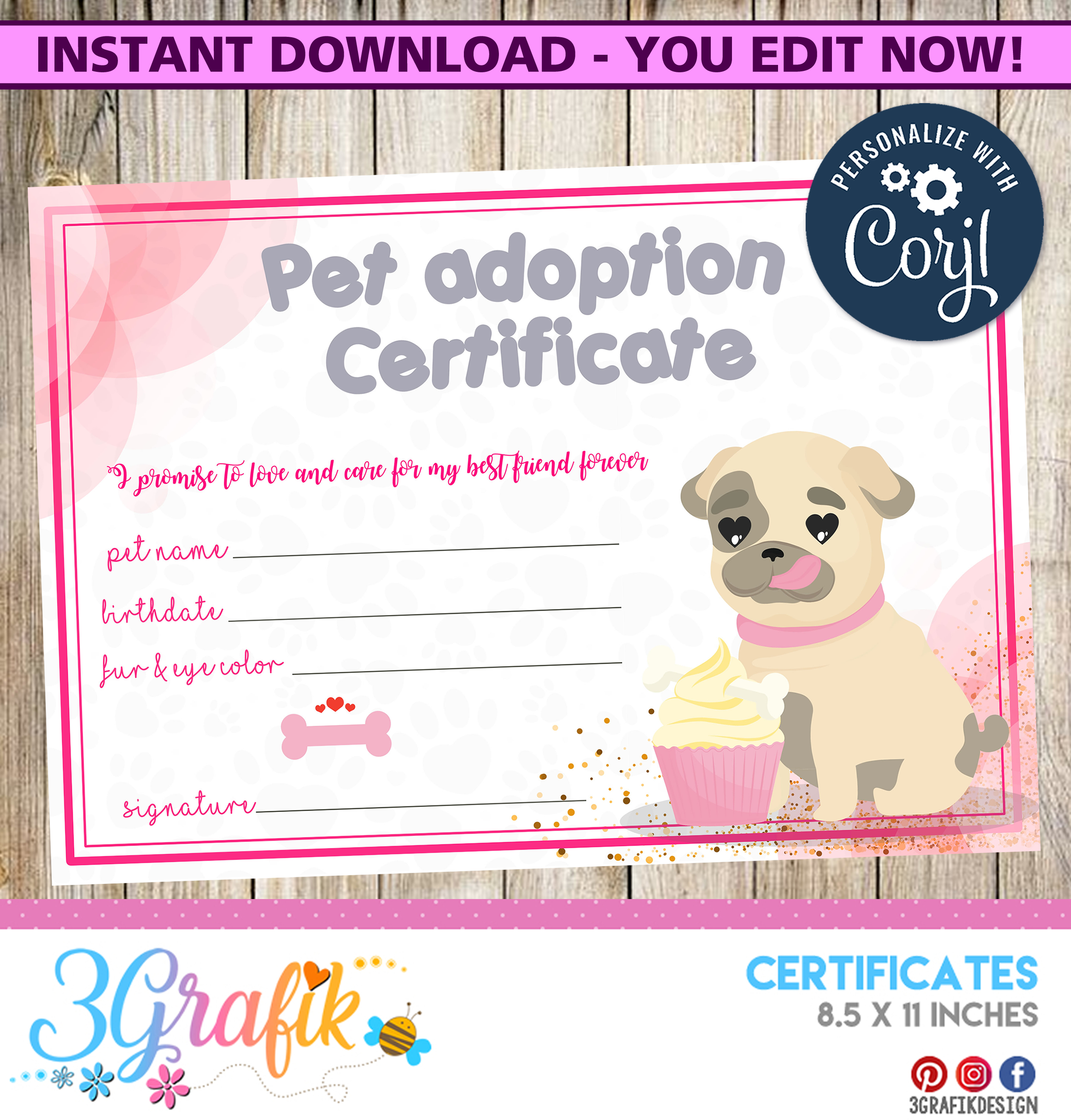 Pet Adoption – Certificate – Printable - 22Grafik Within Pet Adoption Certificate Template