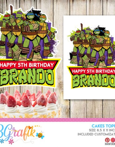 Teenage Mutant Ninja Turtles Cake Topper