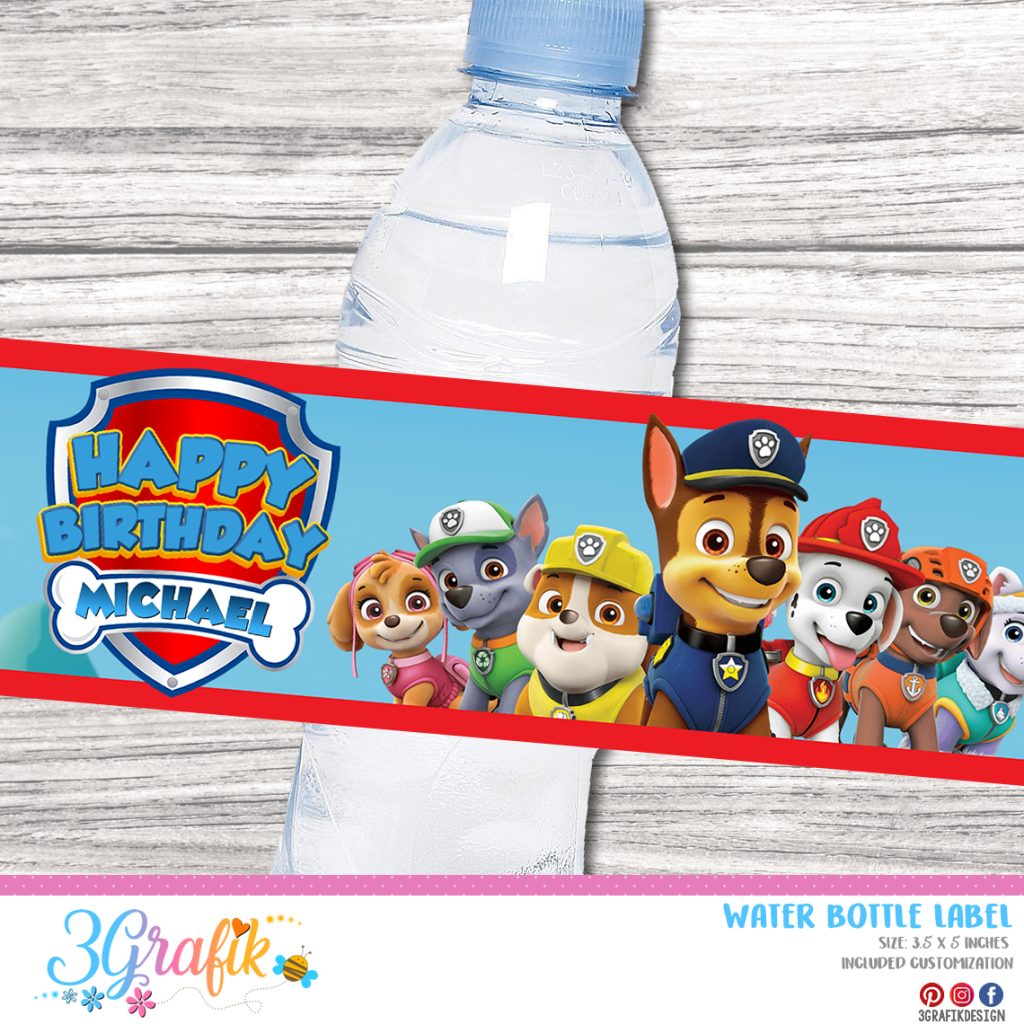 Paw patrol water patrol hot sale