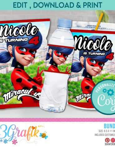 Miraculous Ladybug bundle