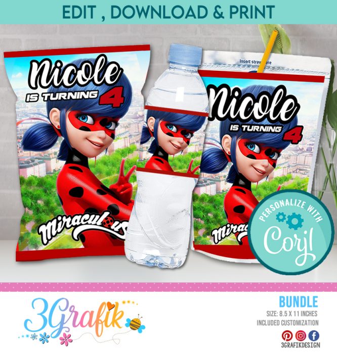 Miraculous Ladybug bundle