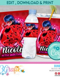 Miraculous ladybug bundle