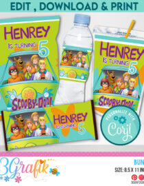 Scooby Doo Bundle - Chip Bag - Caprisun - Water Labels - Candy Wrapper