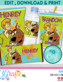 Scooby Doo Bundle - Chip Bag - Caprisun - Water Labels - Candy Wrapper