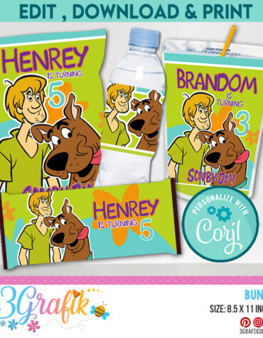 Scooby Doo Bundle - Chip Bag - Caprisun - Water Labels - Candy Wrapper