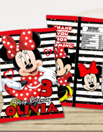 Minnie Mouse Chip Bag Digital